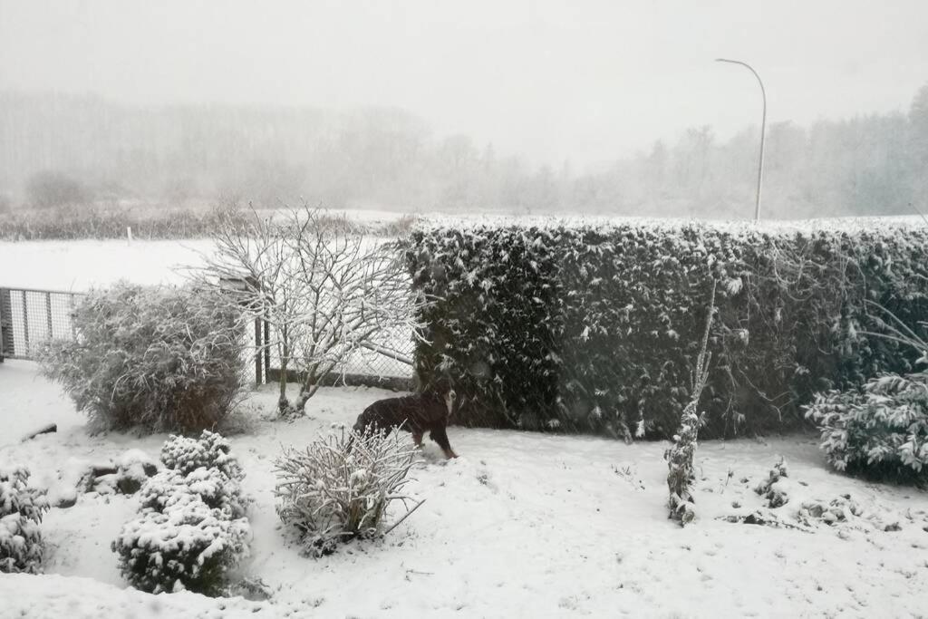 Scandinavie Vlak Bij Huis Villa Laarne Exterior foto
